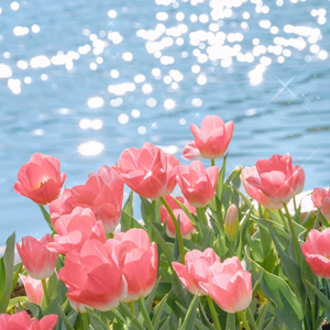 日本久久综合网
